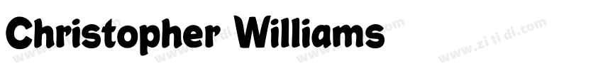 Christopher Williams字体转换